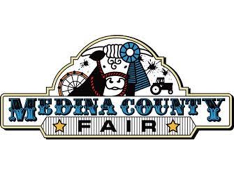 Logo for 2024 Medina County Fair