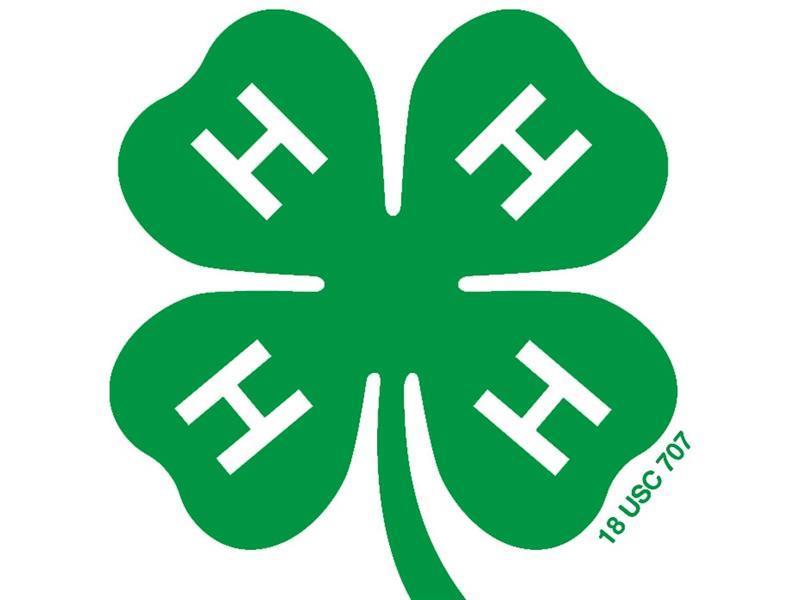 Logo for 2024 Hamilton County Fair
