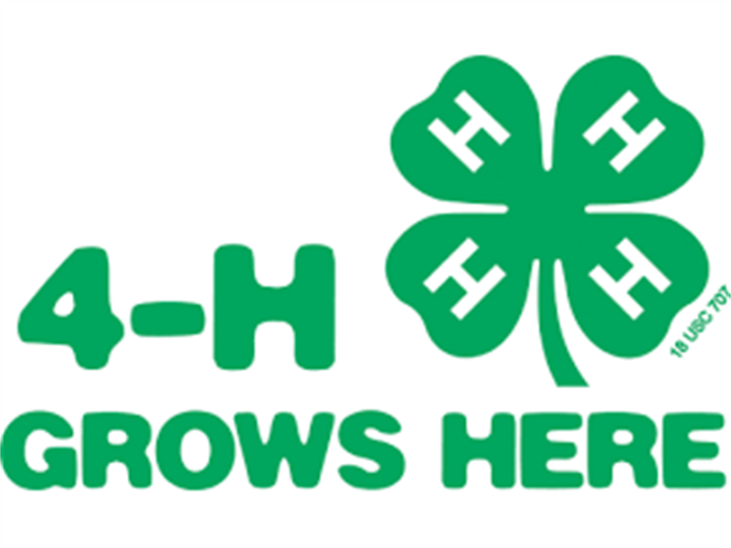 Logo for 2024 Washtenaw County 4-H Youth Fair