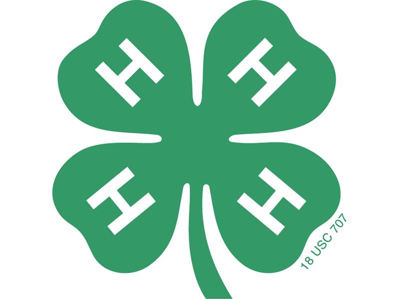 Logo for 2024 Emmons County 4-H Achievement Days