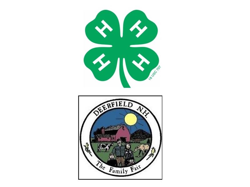 Logo for 2025 Deerfield Fair