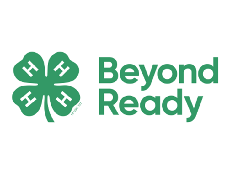 Logo for 2026 Lenawee County 4-H Fair